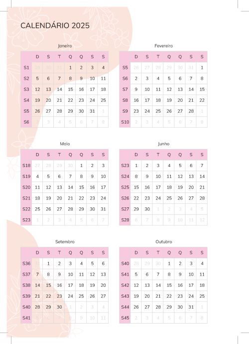 Final - Planner 2025_Página_0002